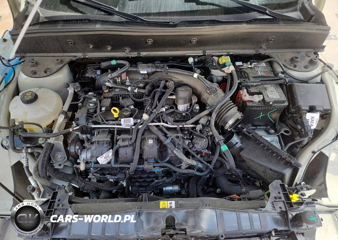 2024 Ford Bronco Sport Badlands VIN:3FMCR9D97RRF10175 - 11
