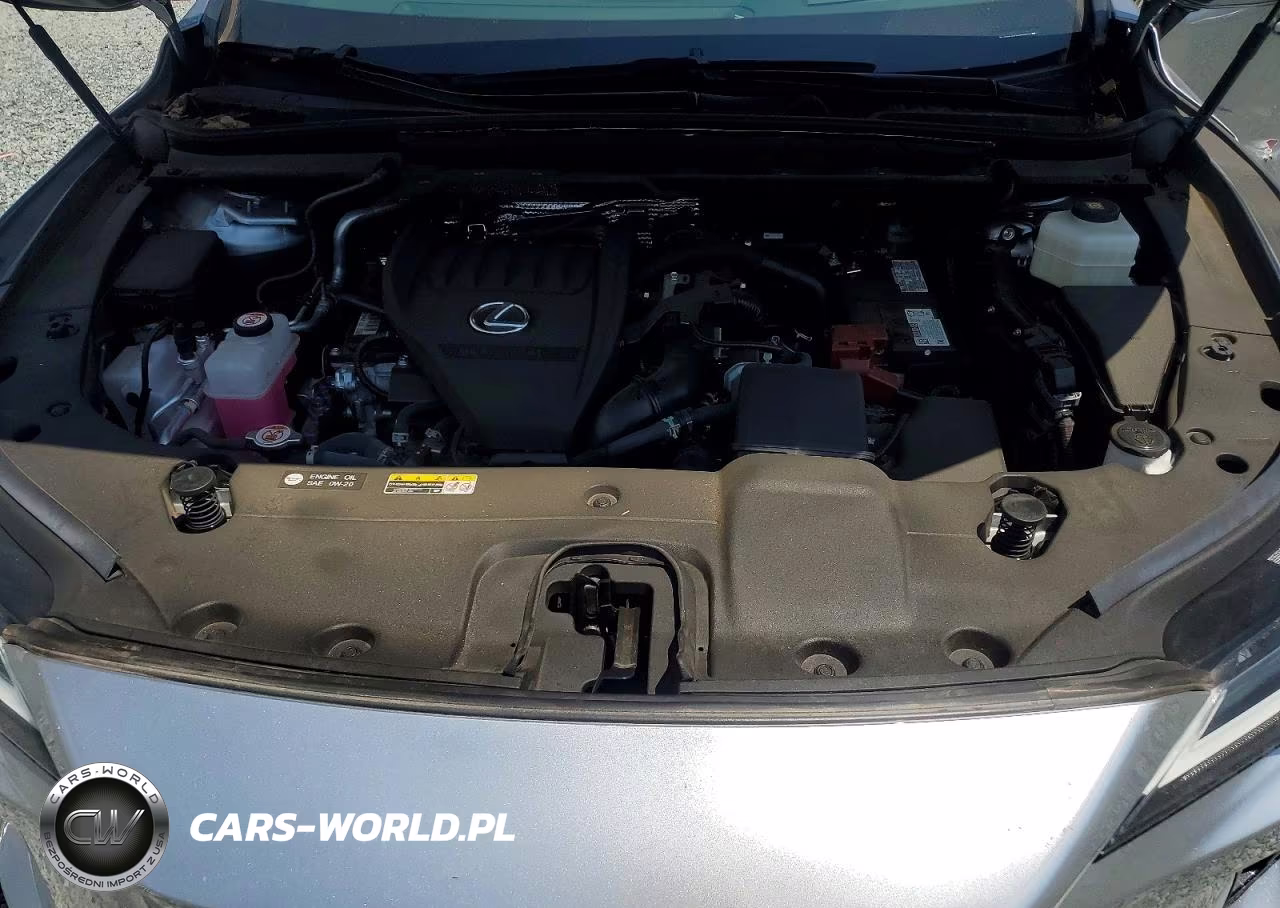 2024 Lexus Rx 350 Premium+ VIN:2T2BAMBA0RC026566 - 12