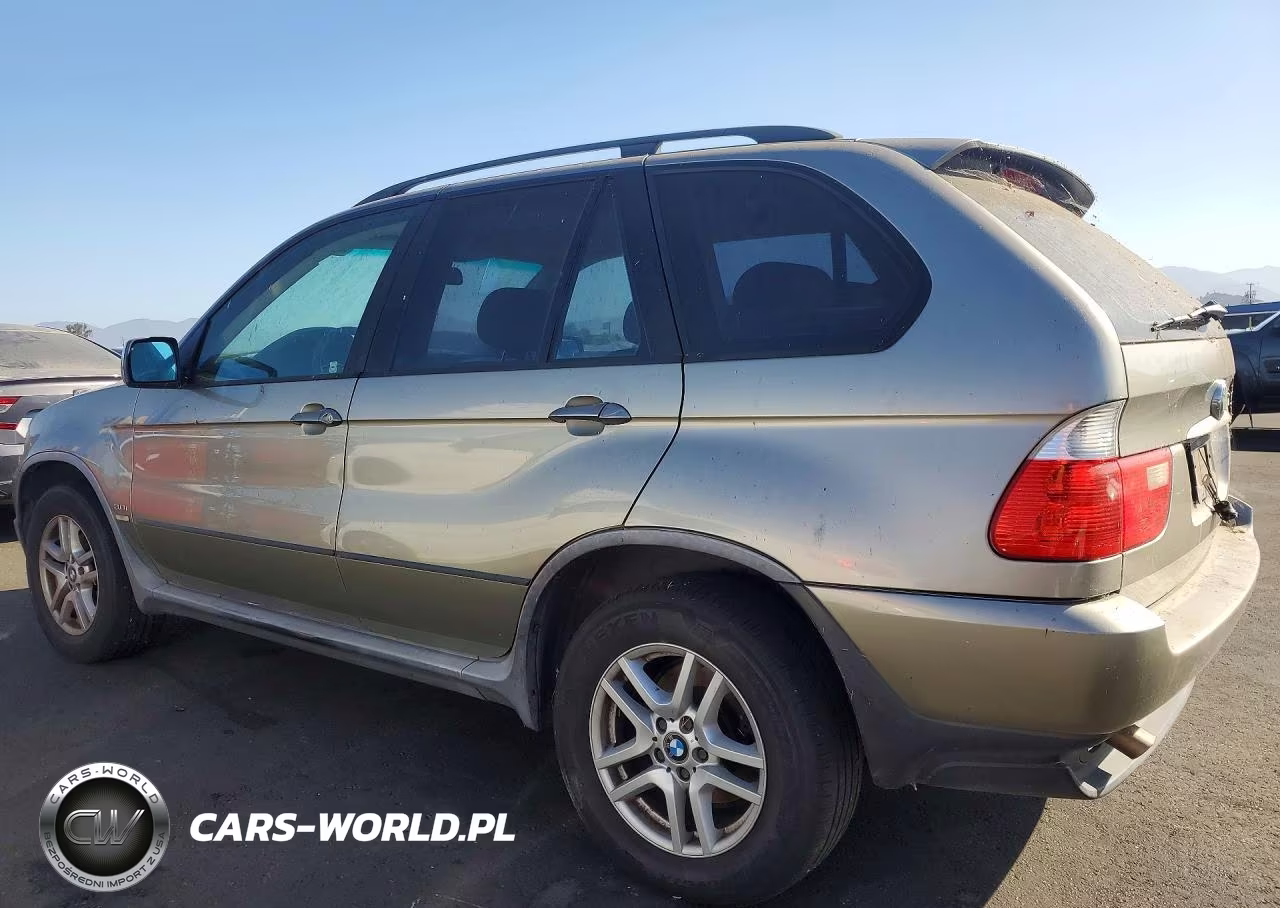 2005 BMW X5 3.0I VIN:5UXFA13515LY15445 - 2