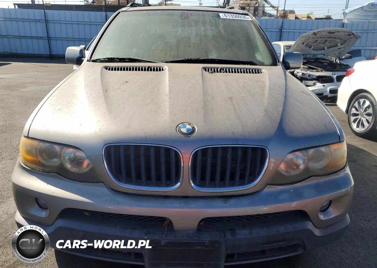 2005 BMW X5 3.0I VIN:5UXFA13515LY15445 - 5