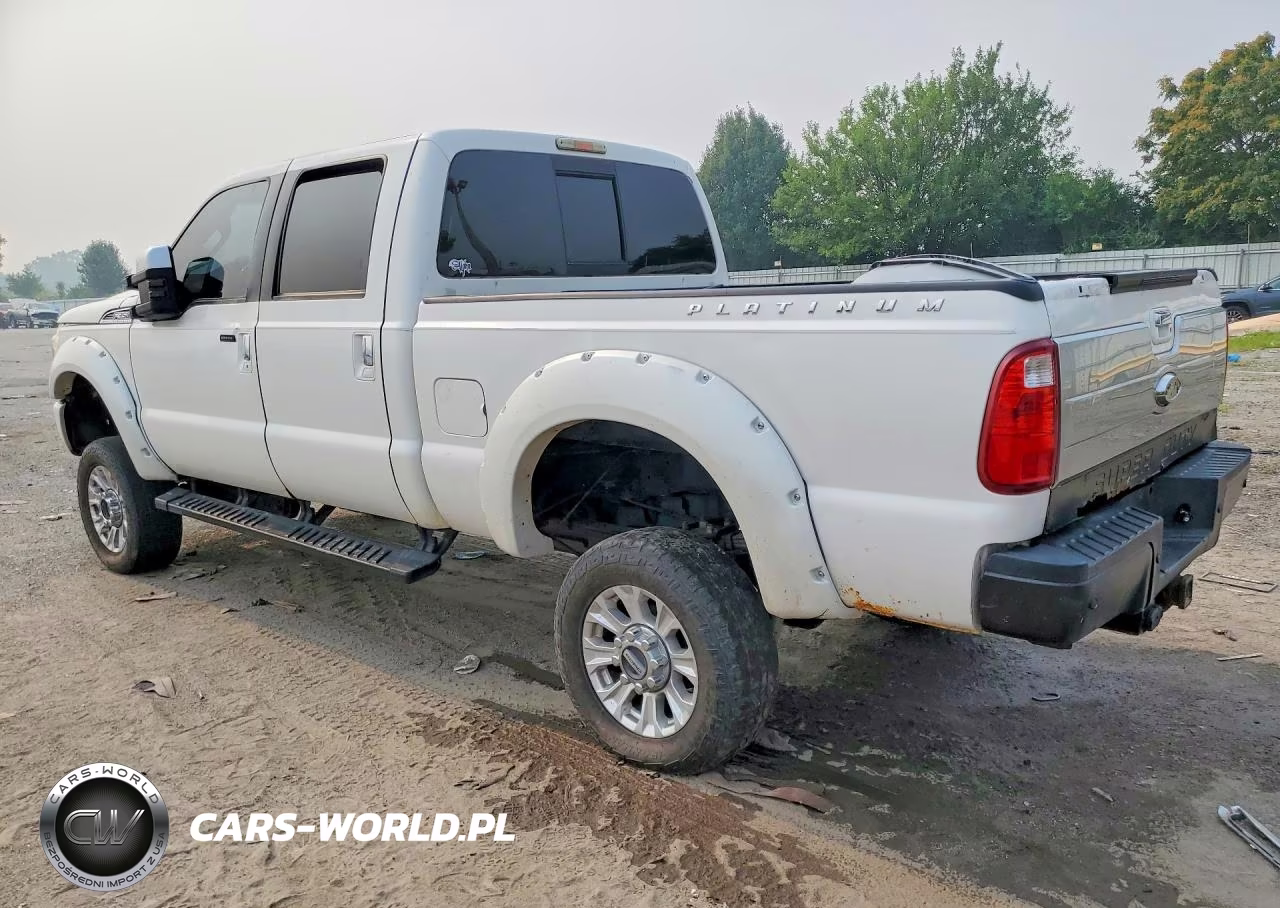 2014 Ford F350 Super Duty VIN:1FT8W3BT4EEA19509 - 2
