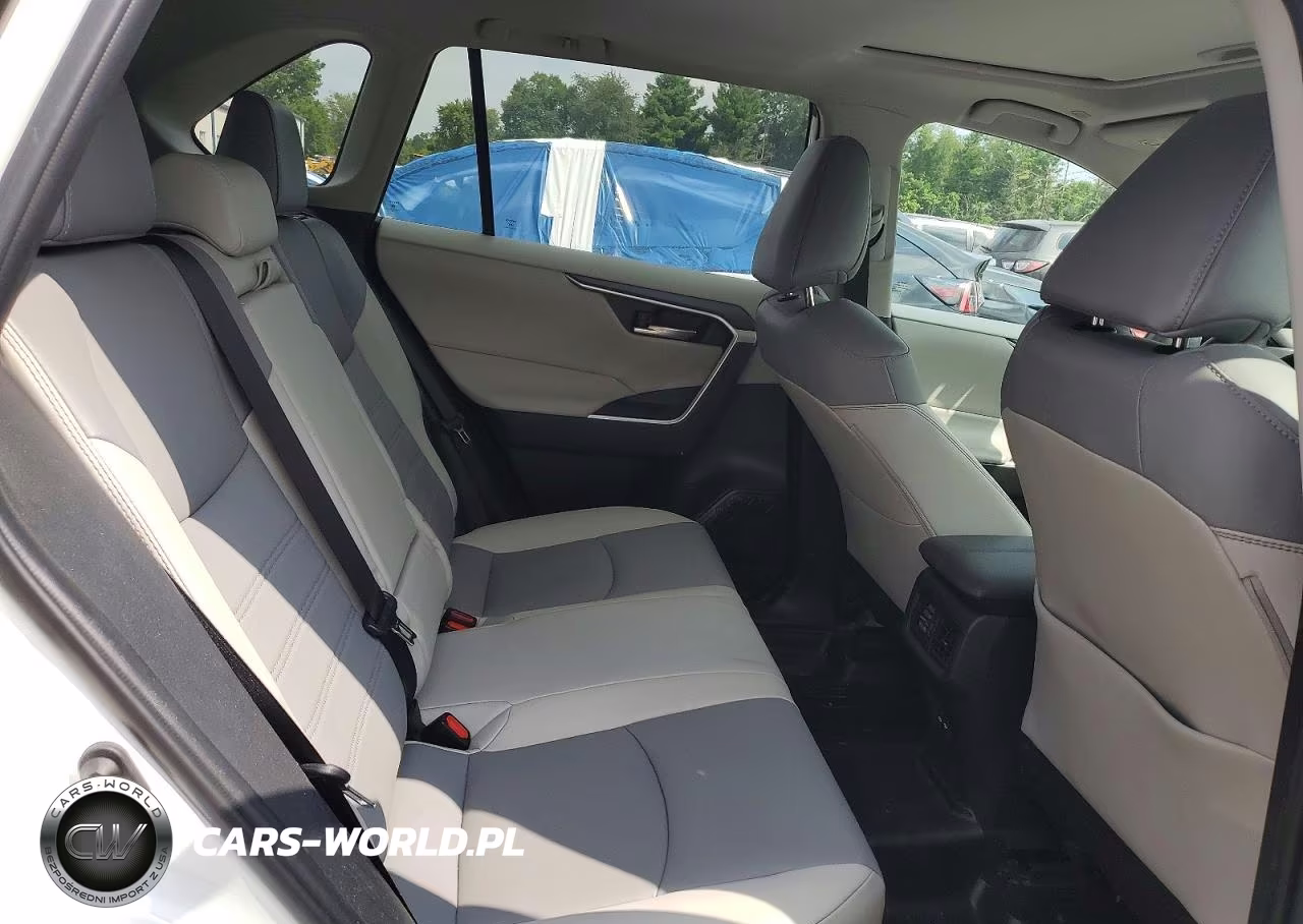 2023 Toyota Rav4 Xle Premium VIN:2T3A1RFVXPW353084 - 10