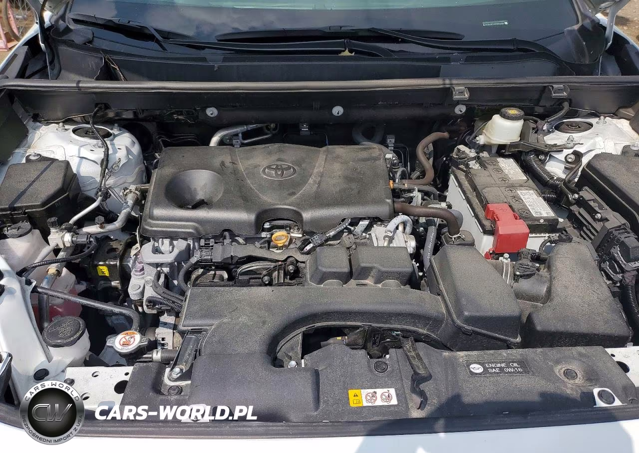 2023 Toyota Rav4 Xle Premium VIN:2T3A1RFVXPW353084 - 11