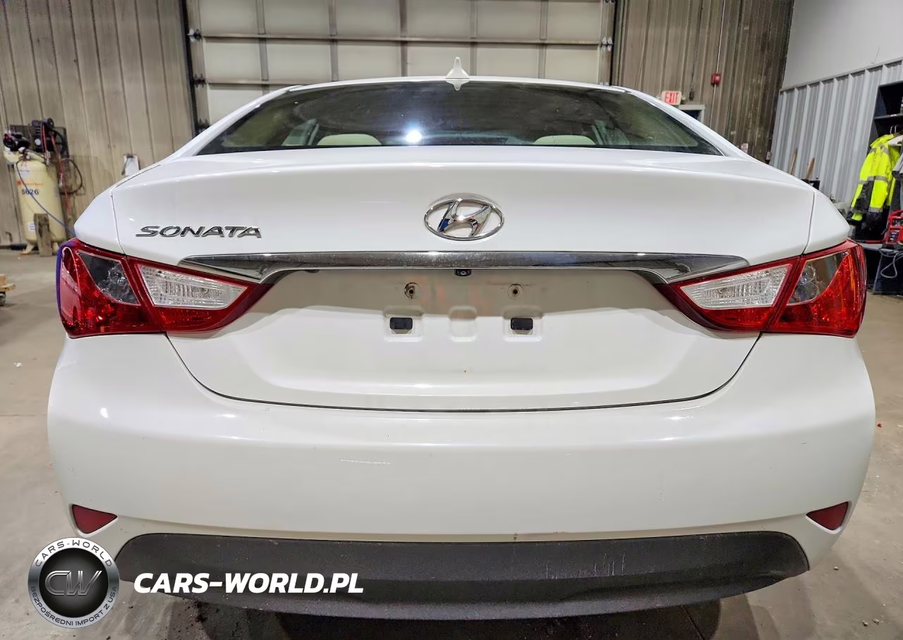 2014 Hyundai Sonata Gls VIN:5NPEB4AC9EH820717 - 6
