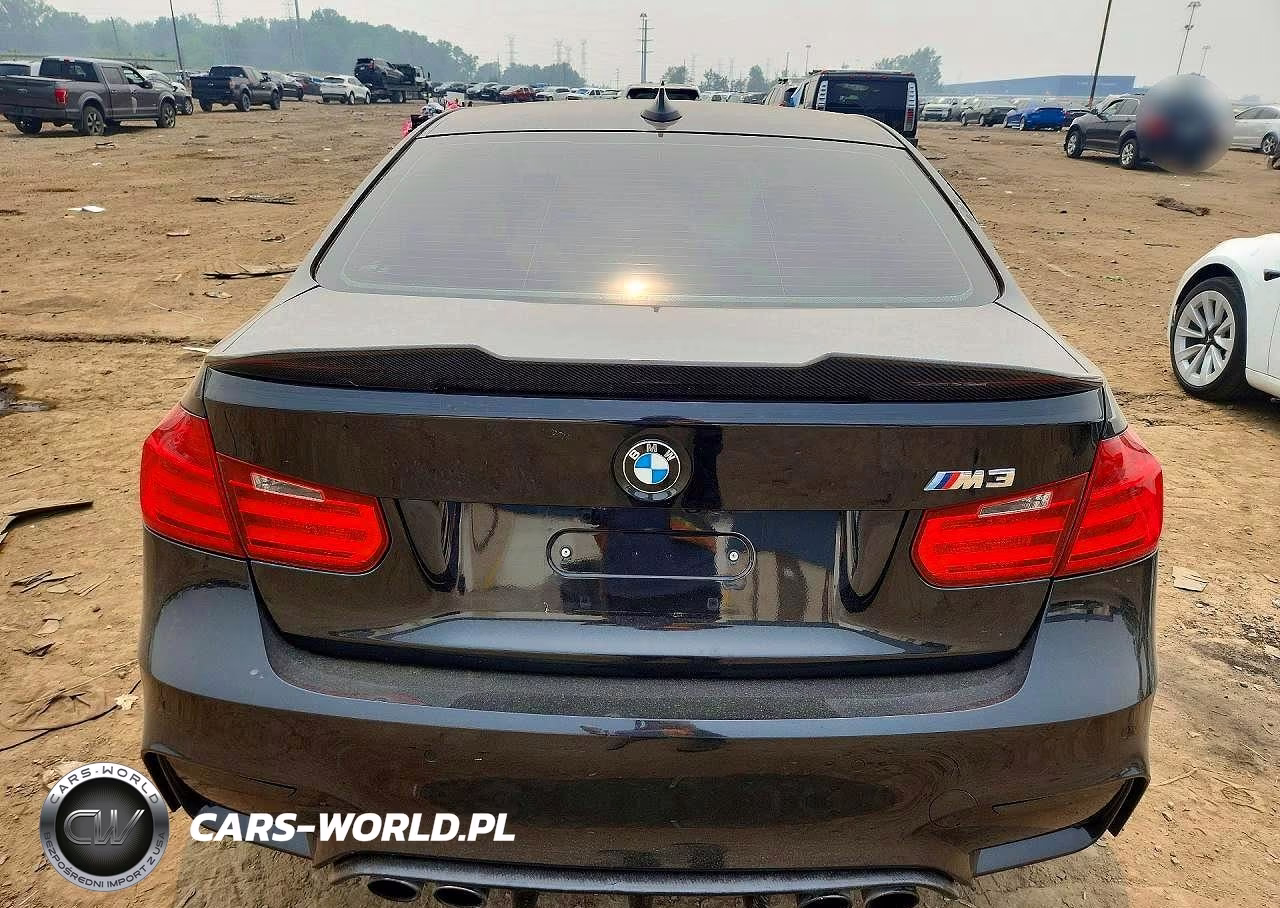 2015 BMW M3 VIN:WBS3C9C5XFP804542 - 6