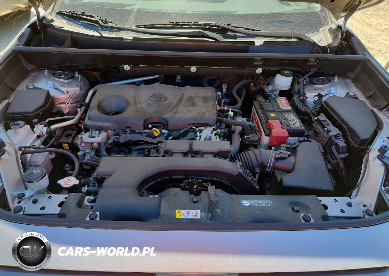 2019 Toyota Rav4 Xle VIN:JTMW1RFV3KD512152 - 12