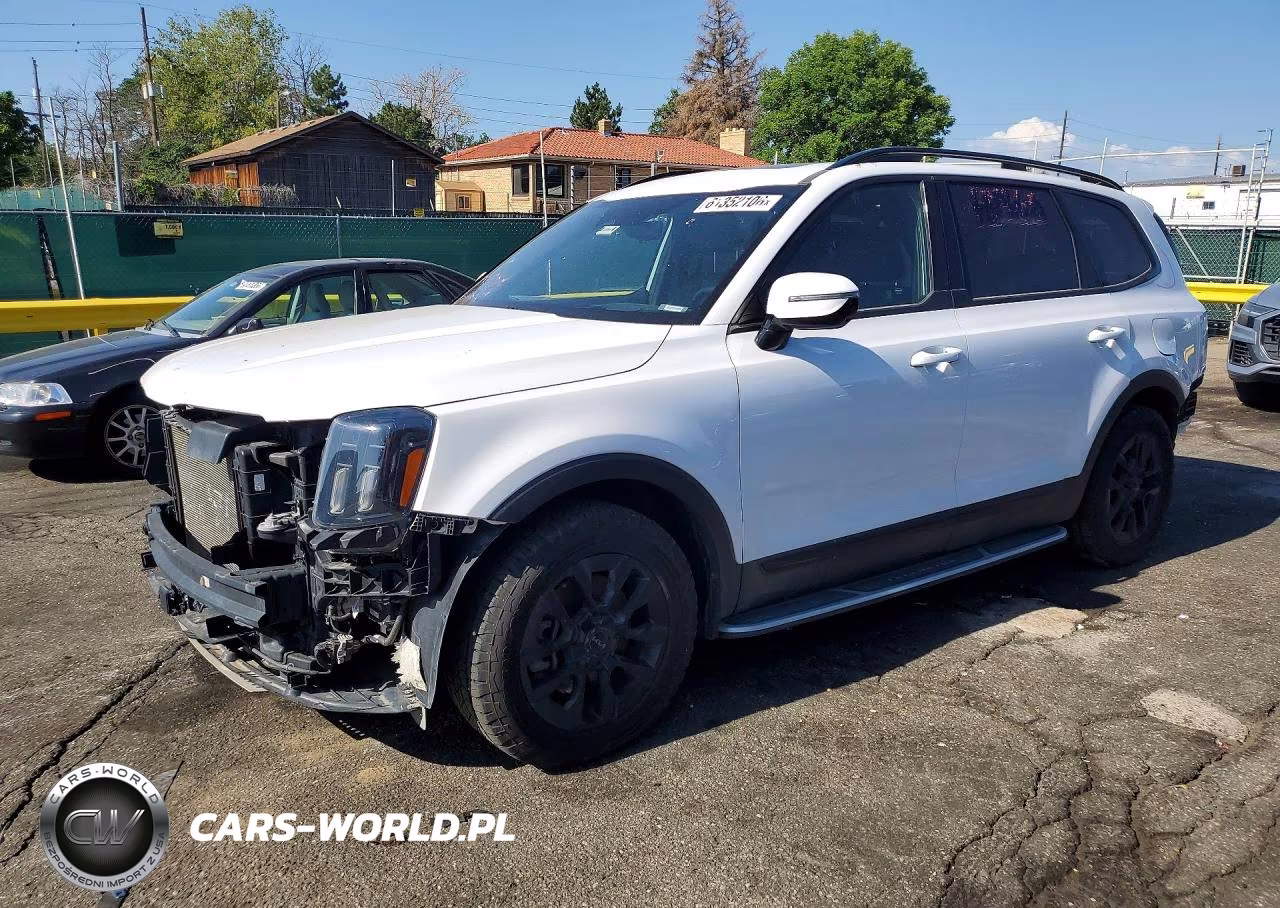 2025 Kia Telluride Sx-Prestige X-Pro VIN:5XYP5DGC2SG590044 - 1