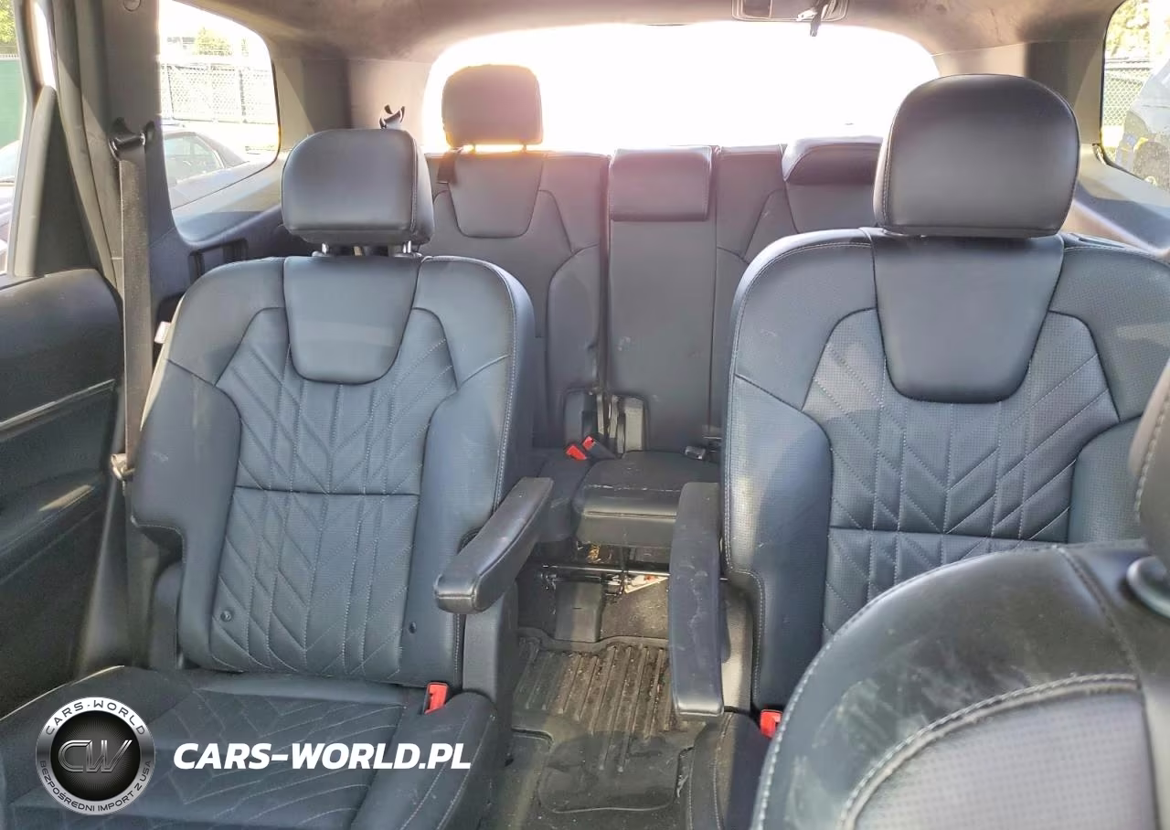 2025 Kia Telluride Sx-Prestige X-Pro VIN:5XYP5DGC2SG590044 - 10