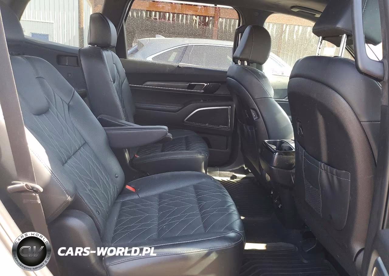 2025 Kia Telluride Sx-Prestige X-Pro VIN:5XYP5DGC2SG590044 - 11