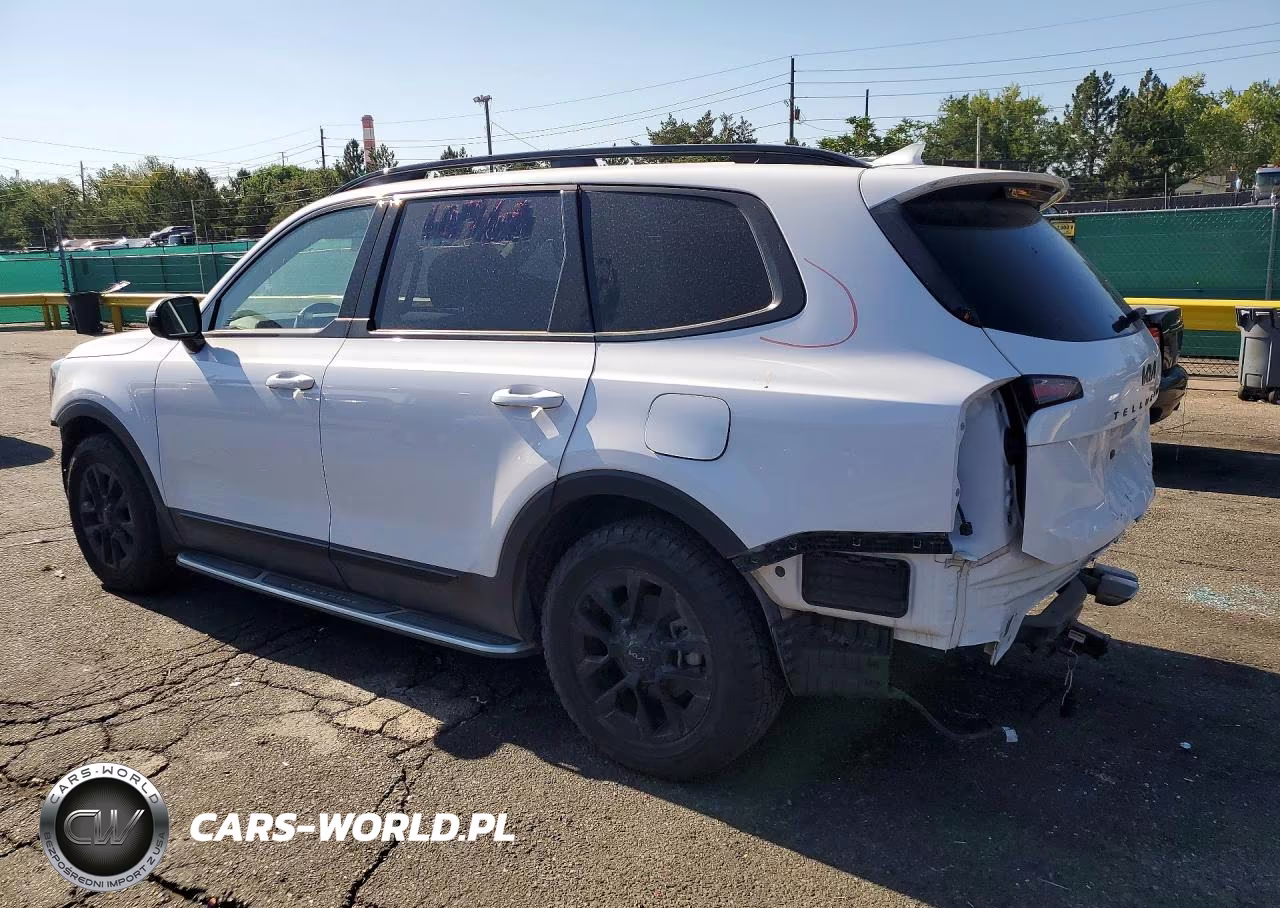 2025 Kia Telluride Sx-Prestige X-Pro VIN:5XYP5DGC2SG590044 - 2