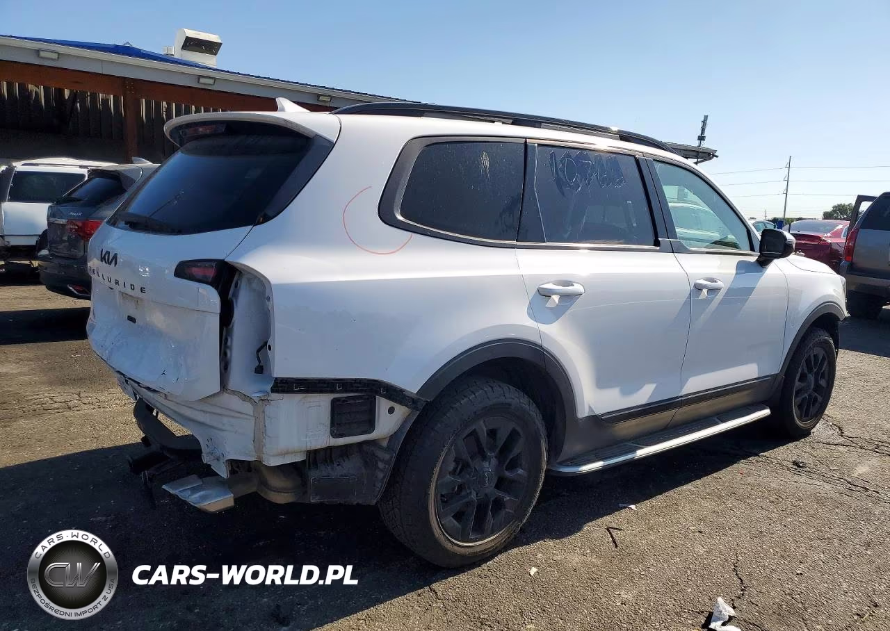 2025 Kia Telluride Sx-Prestige X-Pro VIN:5XYP5DGC2SG590044 - 3