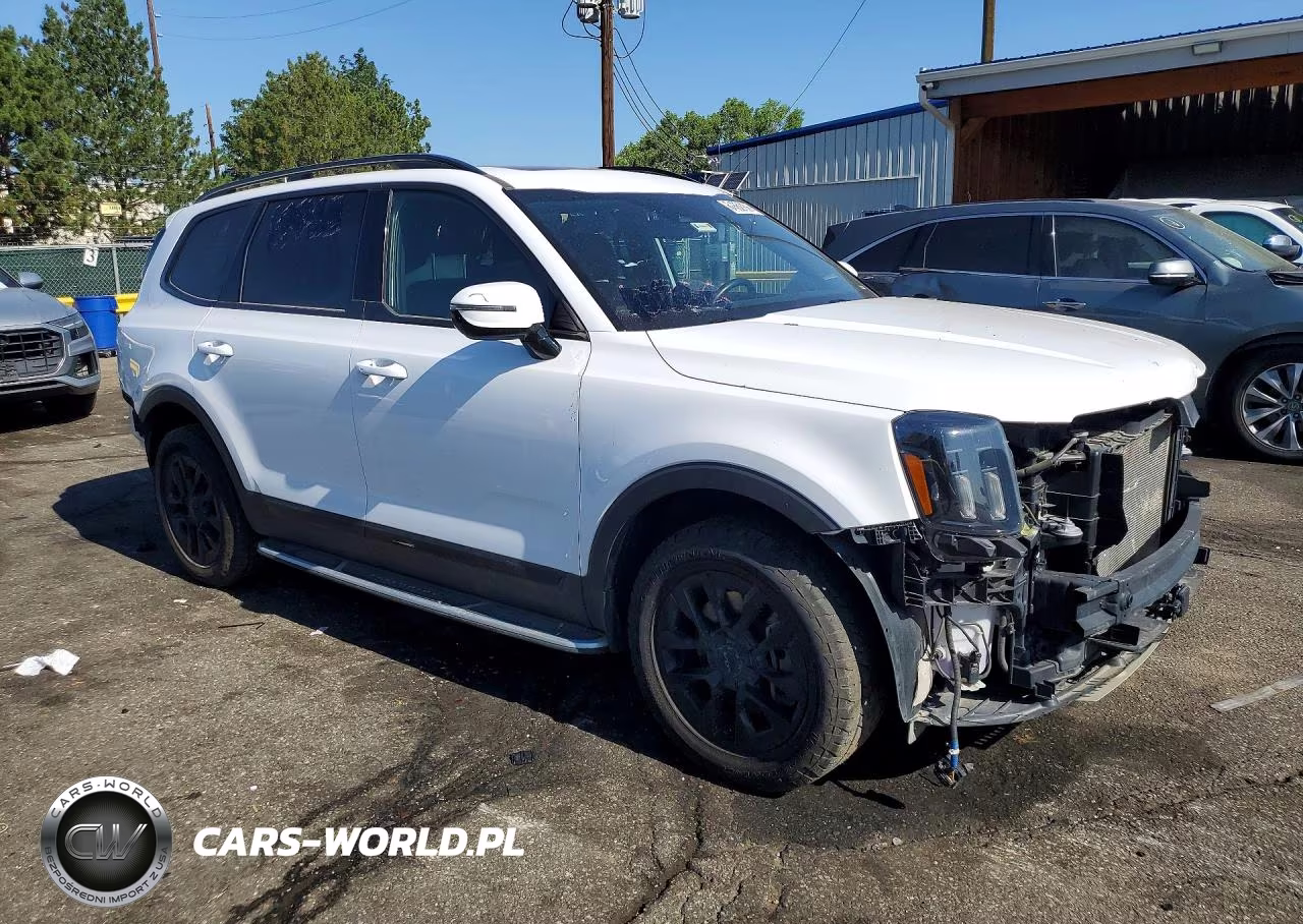 2025 Kia Telluride Sx-Prestige X-Pro VIN:5XYP5DGC2SG590044 - 4