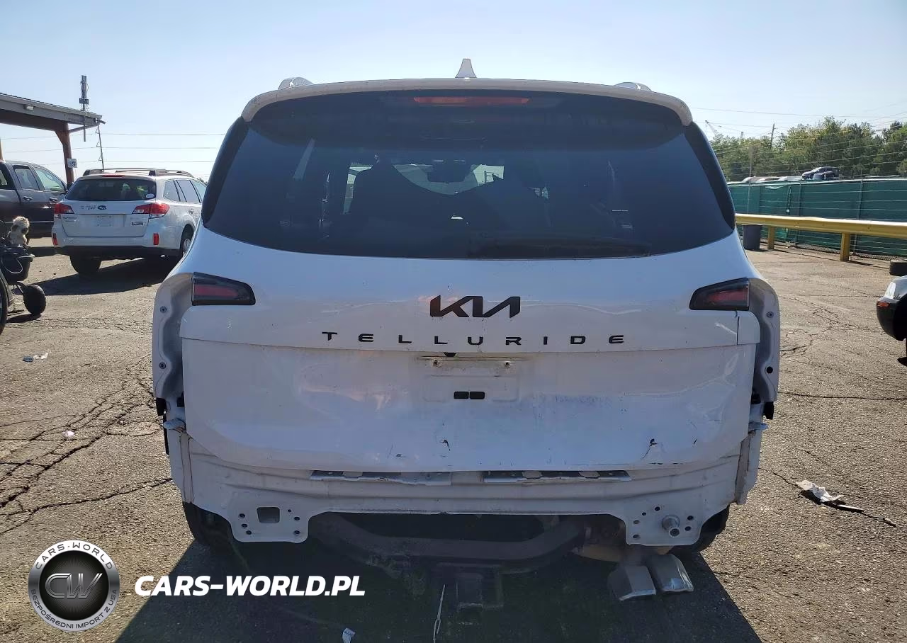 2025 Kia Telluride Sx-Prestige X-Pro VIN:5XYP5DGC2SG590044 - 6