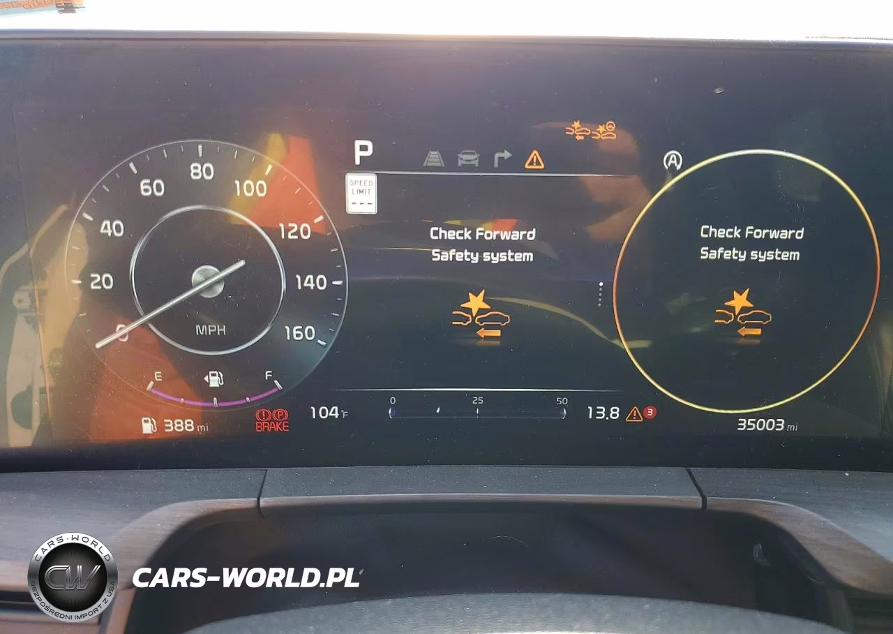 2025 Kia Telluride Sx-Prestige X-Pro VIN:5XYP5DGC2SG590044 - 9