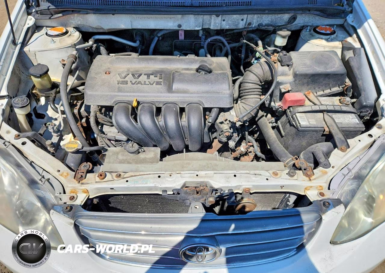 2003 Toyota Corolla Ce VIN:JTDBR32E830023040 - 11
