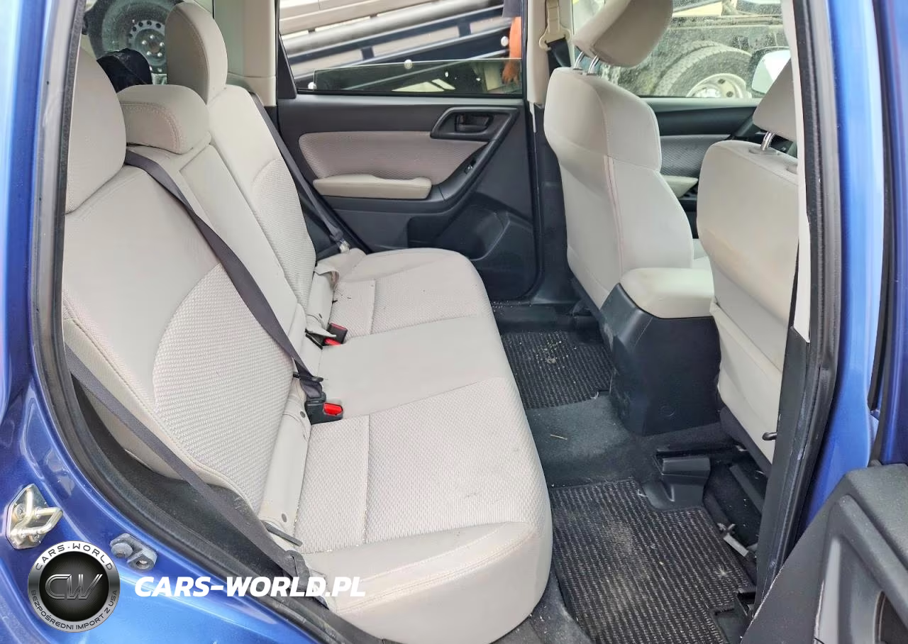 2017 Subaru Forester Premium Es VIN:JF2SJAGC3HH521434 - 10