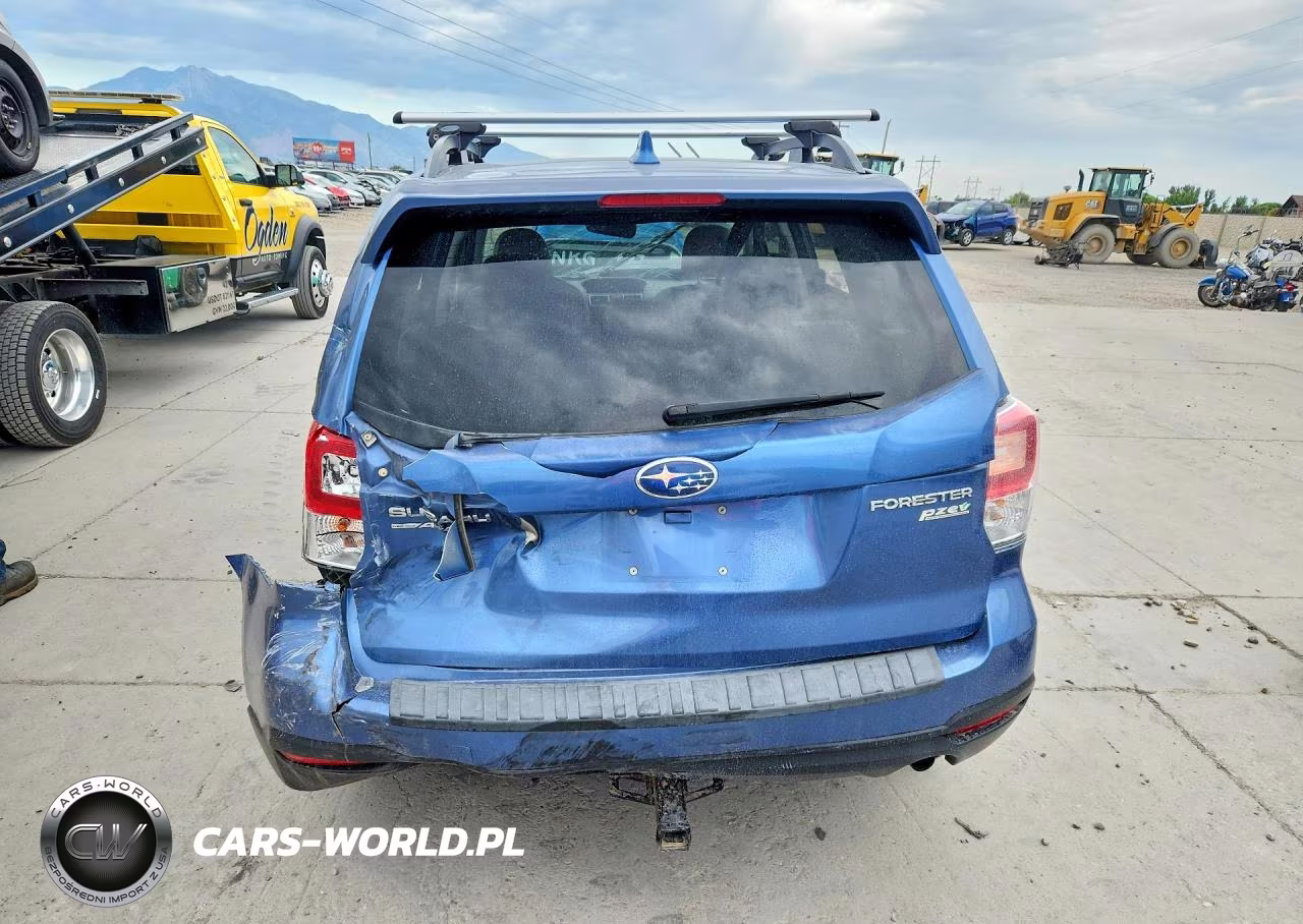 2017 Subaru Forester Premium Es VIN:JF2SJAGC3HH521434 - 6