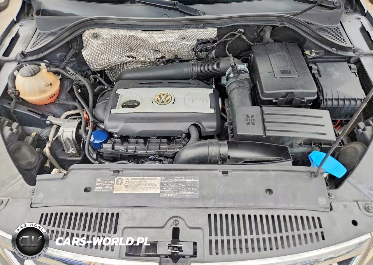 2011 Volkswagen Tiguan S VIN:WVGAV7AX9BW521465 - 11