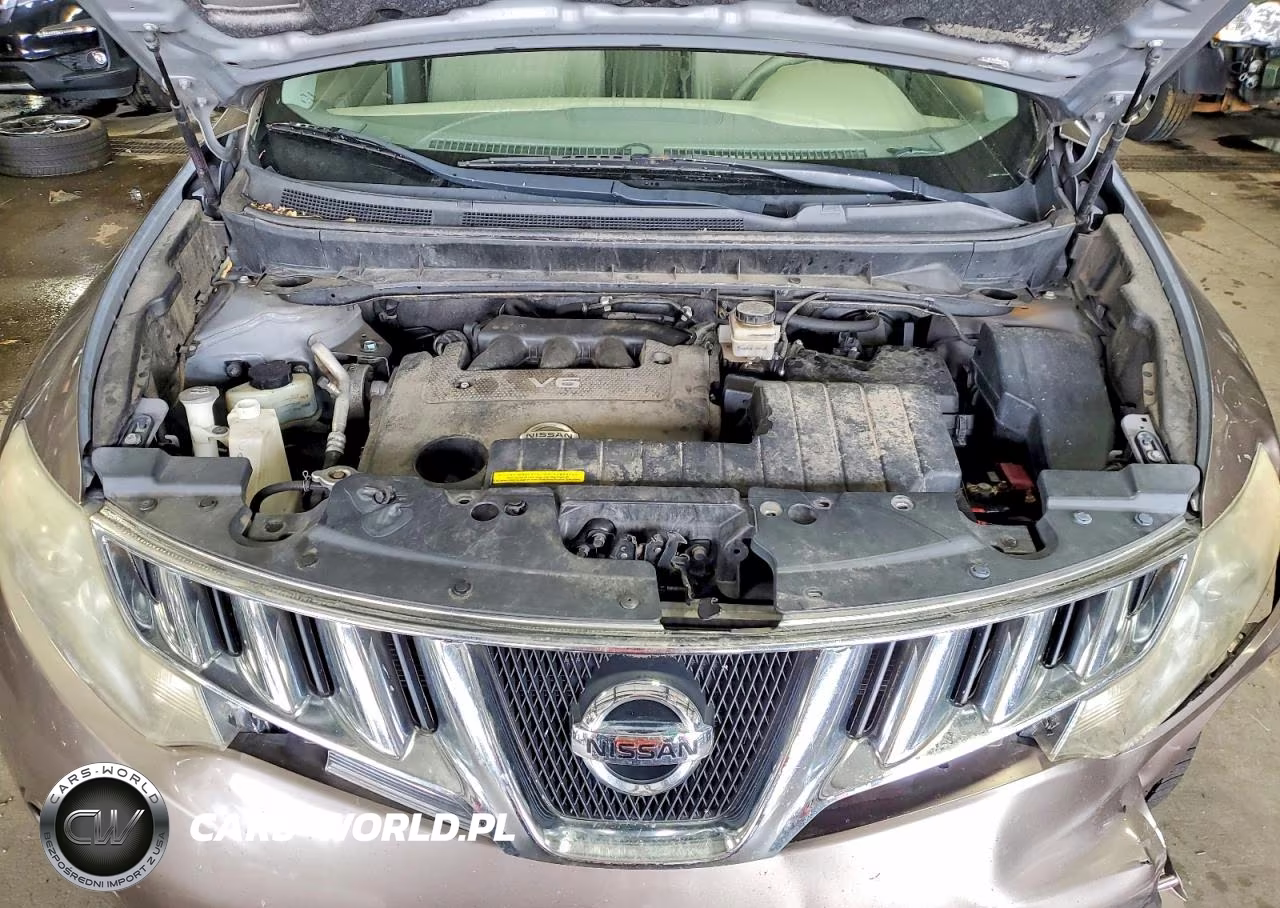 2010 Nissan Murano S VIN:JN8AZ1MW5AW123598 - 11