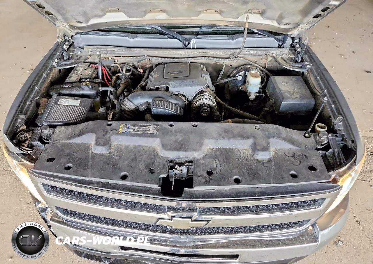 2009 Chevrolet Silverado C1500 VIN:1GCEC19C19Z146609 - 11
