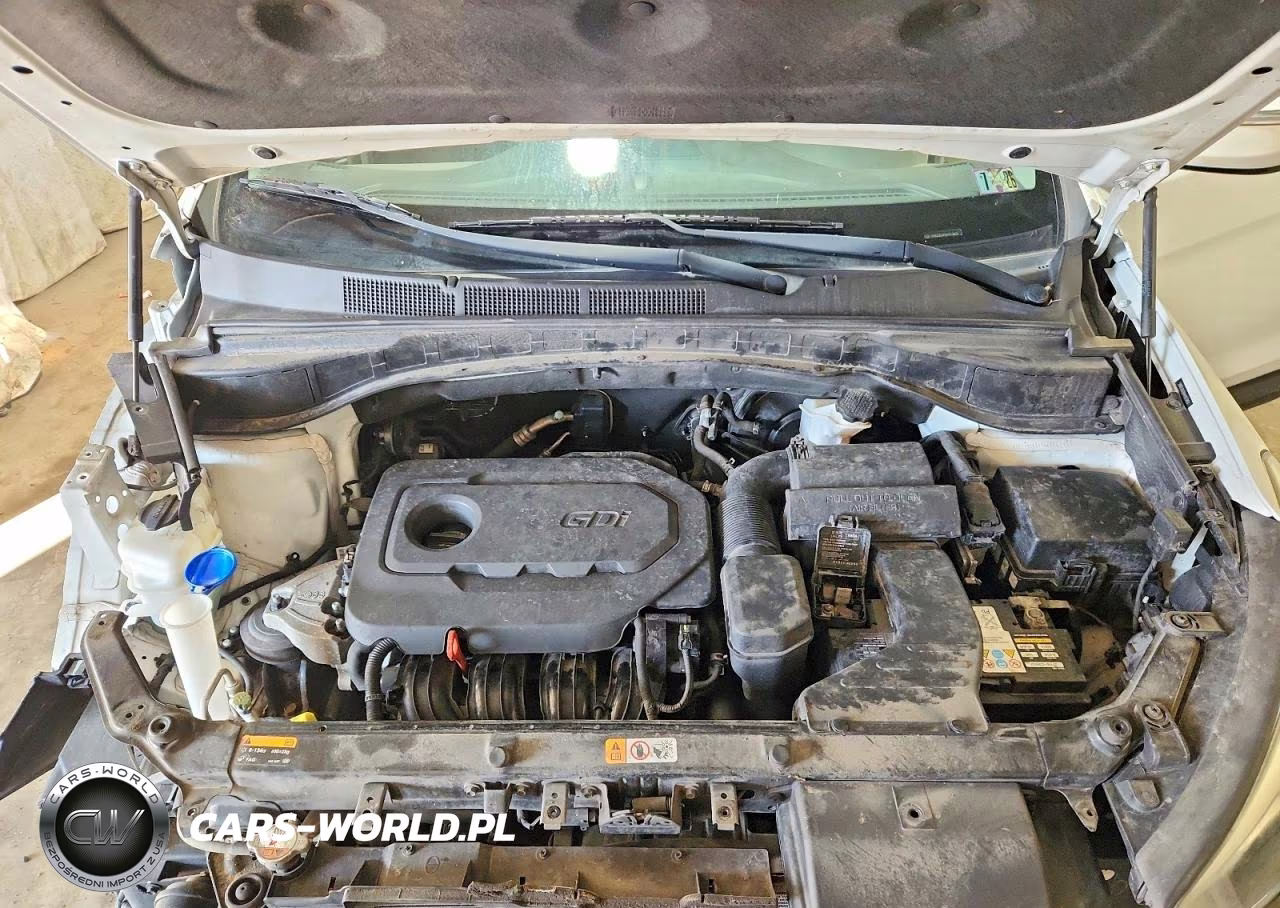 2017 Hyundai Santa Fe Sport 2.4L VIN:5NMZUDLBXHH013950 - 12