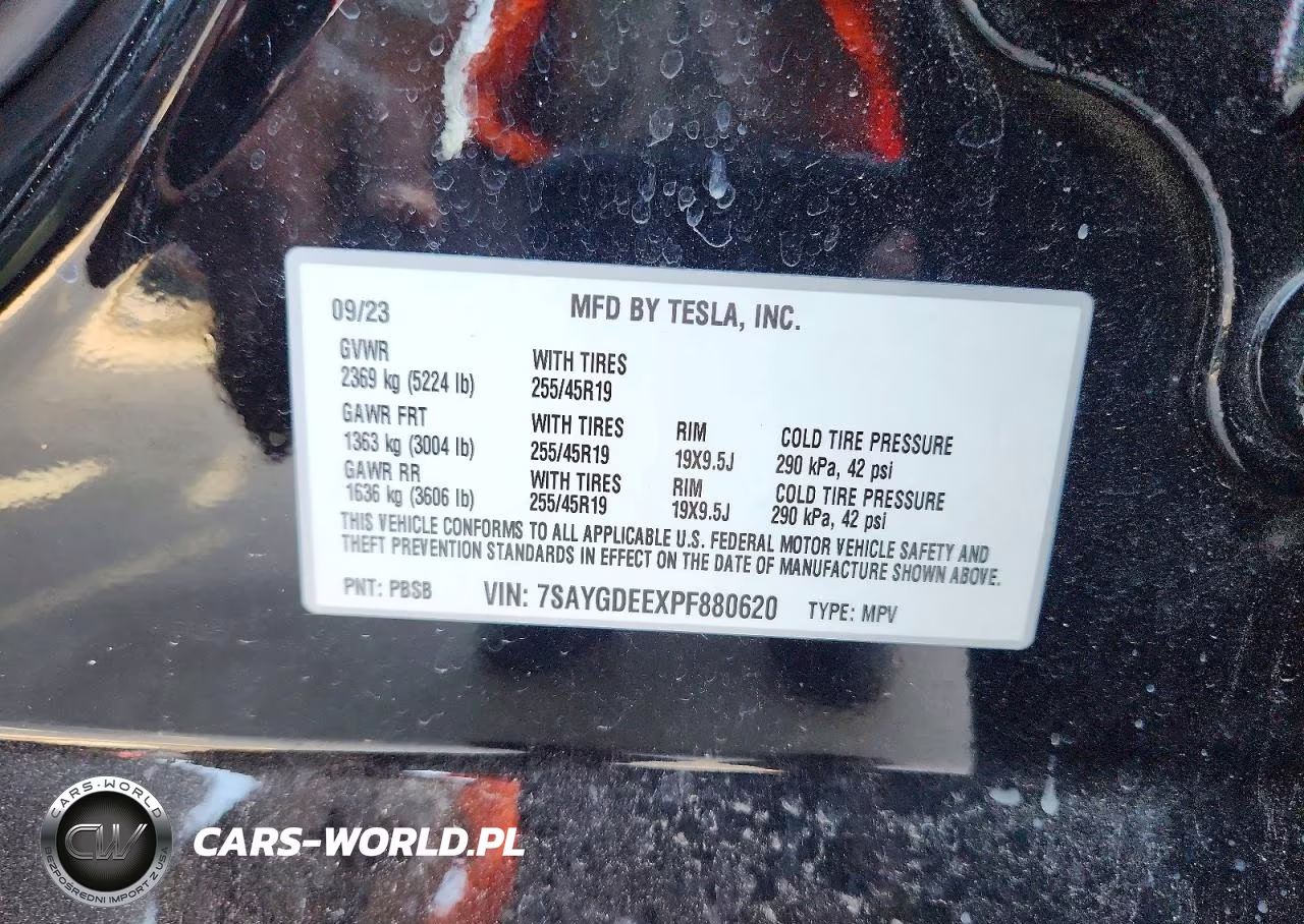 2023 Tesla Model Y VIN:7SAYGDEEXPF880620 - 10