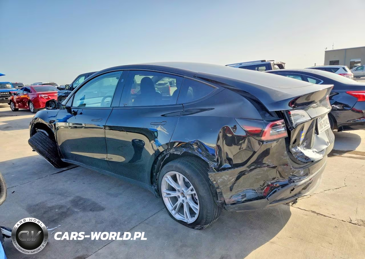 2023 Tesla Model Y VIN:7SAYGDEEXPF880620 - 3