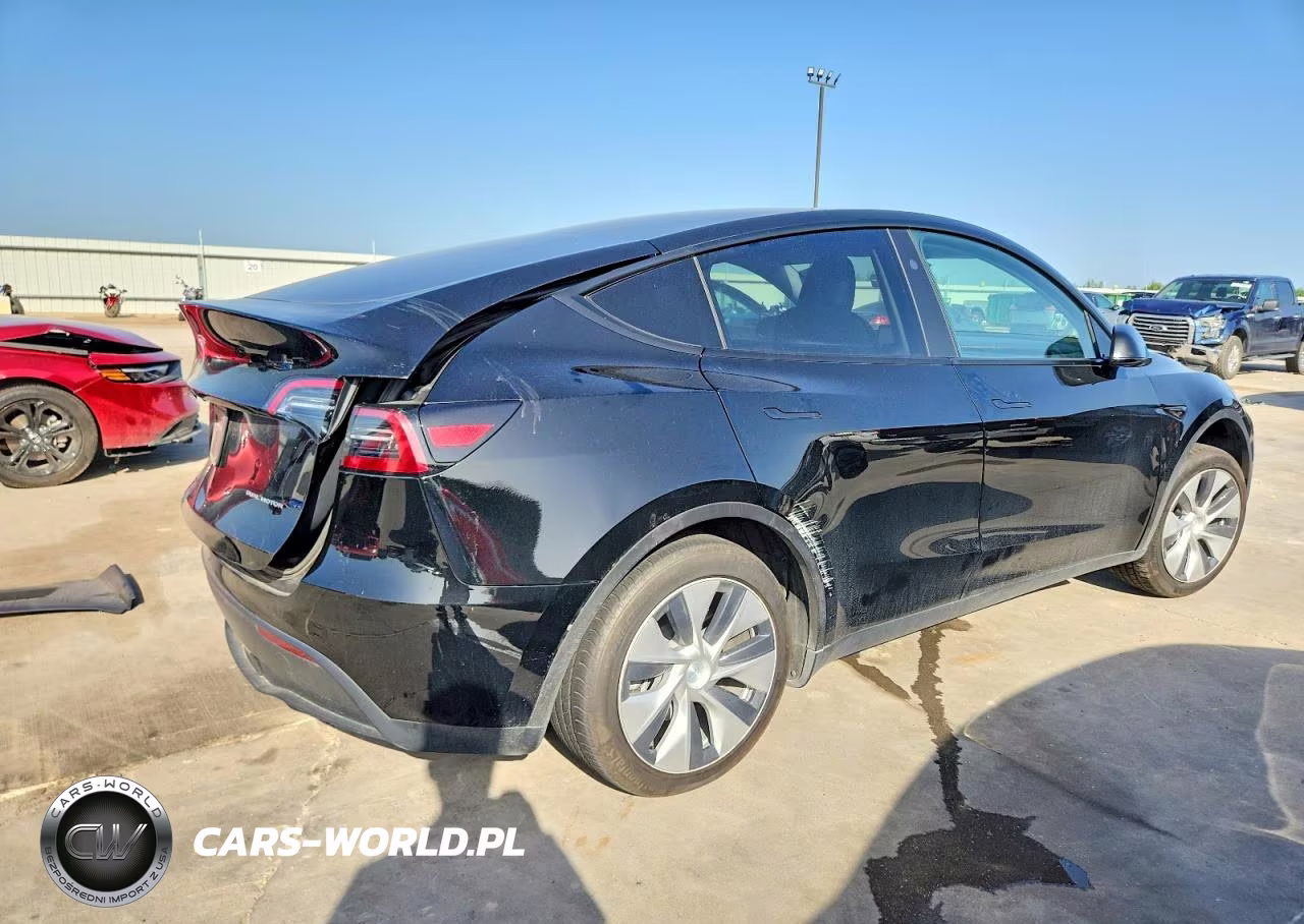 2023 Tesla Model Y VIN:7SAYGDEEXPF880620 - 4