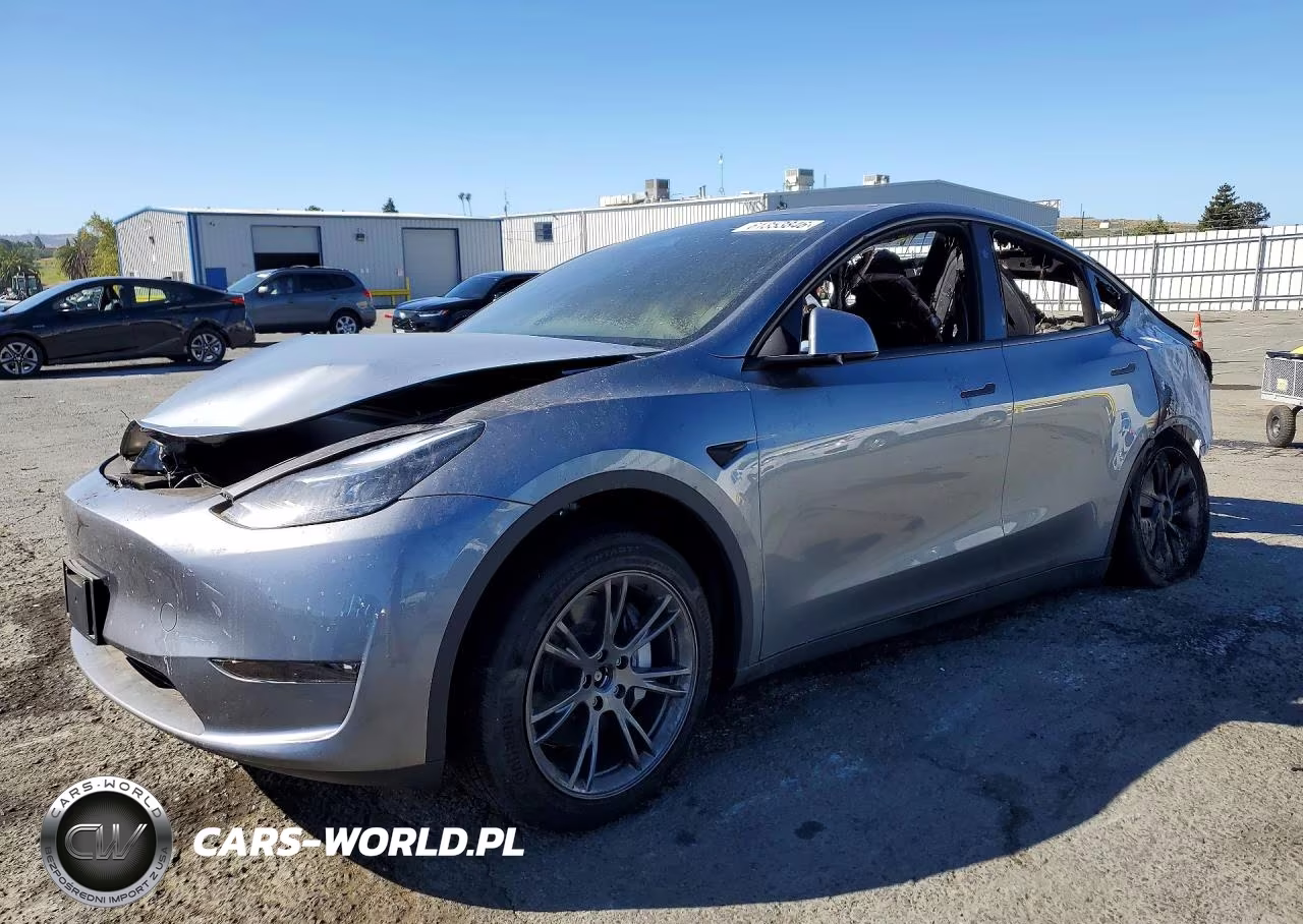 2024 Tesla Model Y VIN:7SAYGDEE4RF125868 - 1