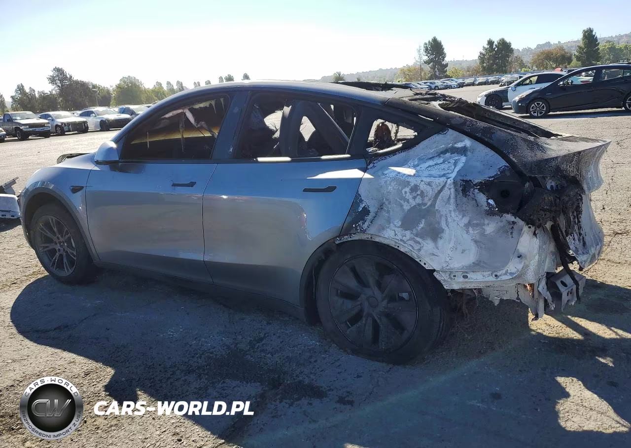 2024 Tesla Model Y VIN:7SAYGDEE4RF125868 - 2