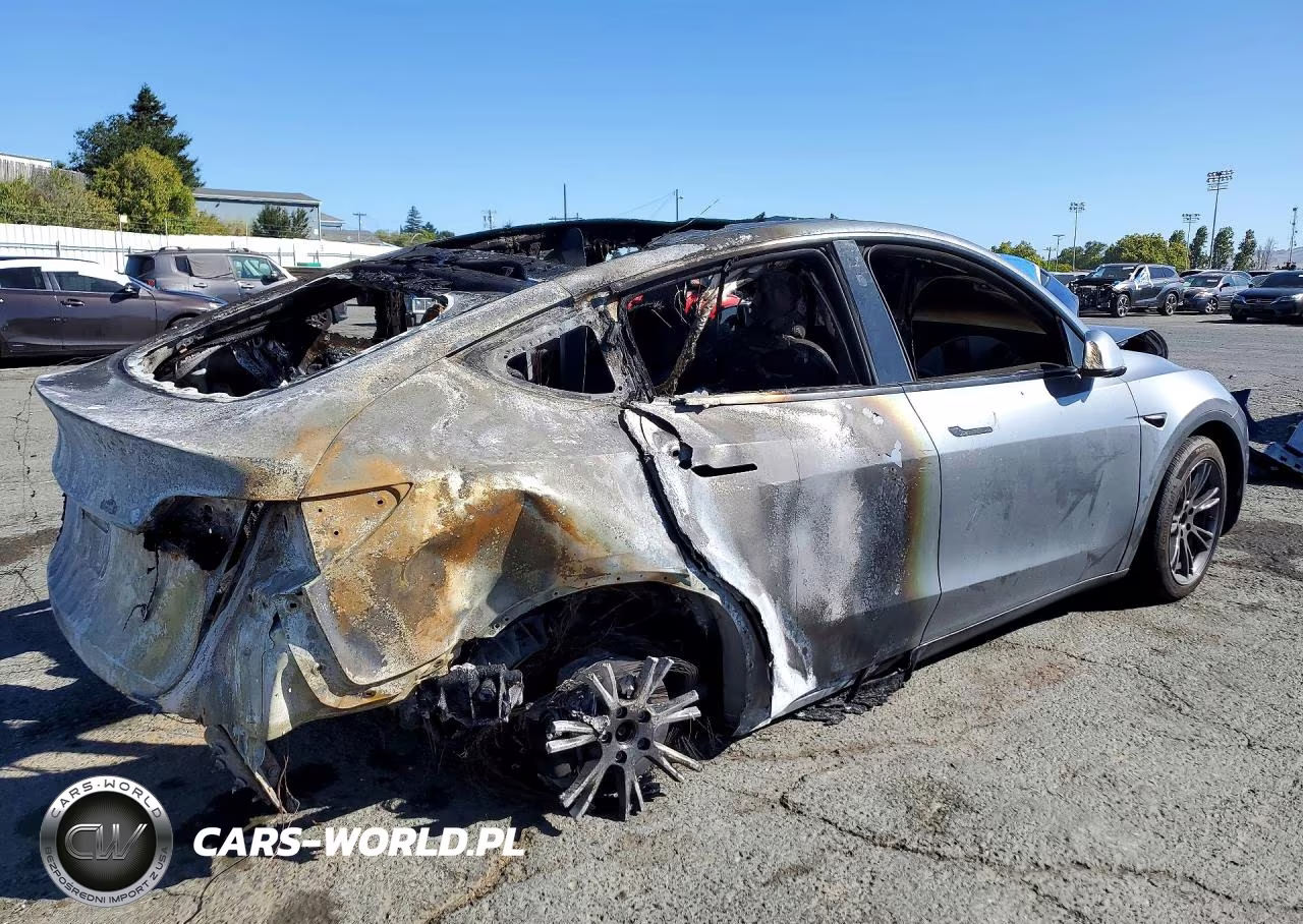 2024 Tesla Model Y VIN:7SAYGDEE4RF125868 - 3