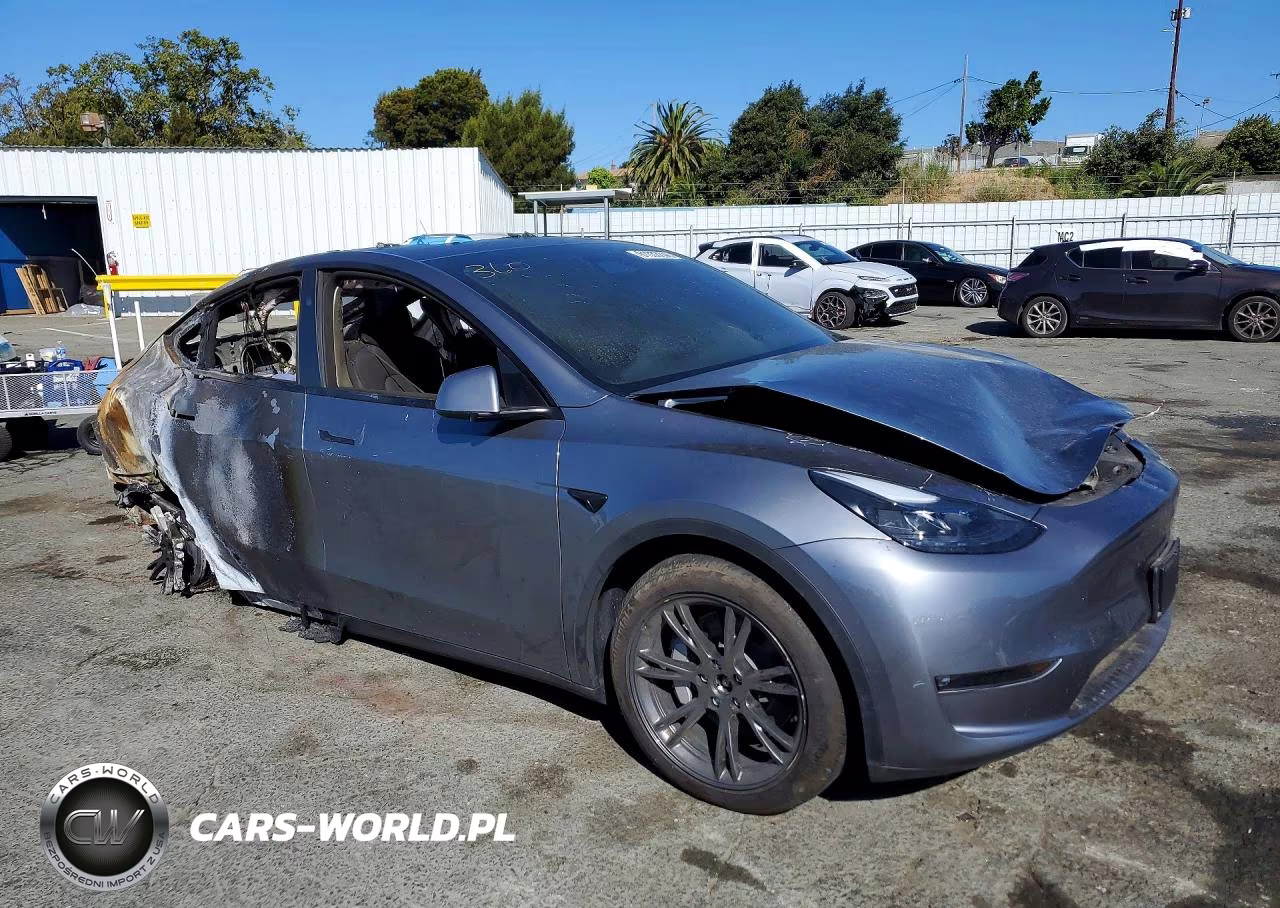 2024 Tesla Model Y VIN:7SAYGDEE4RF125868 - 4