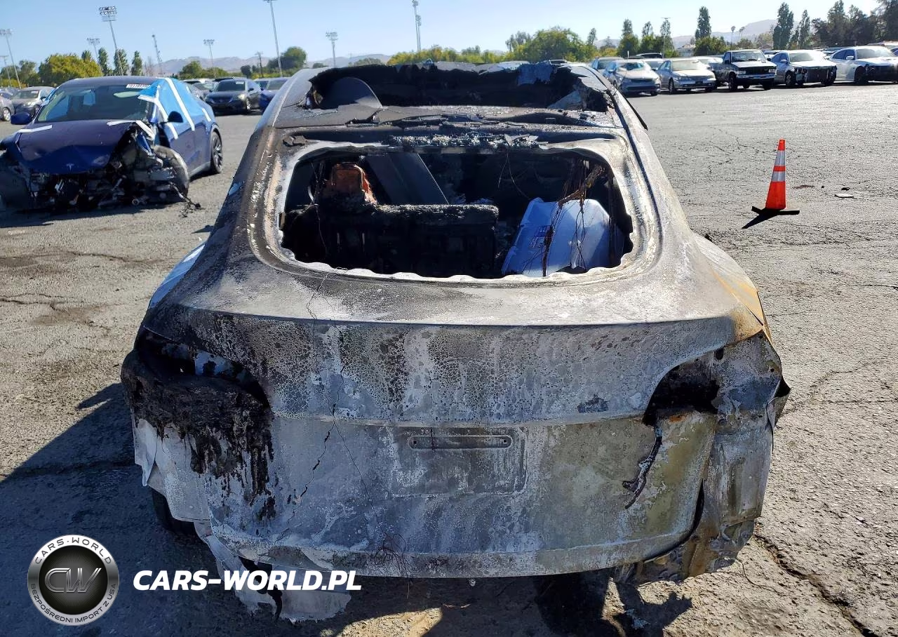 2024 Tesla Model Y VIN:7SAYGDEE4RF125868 - 6