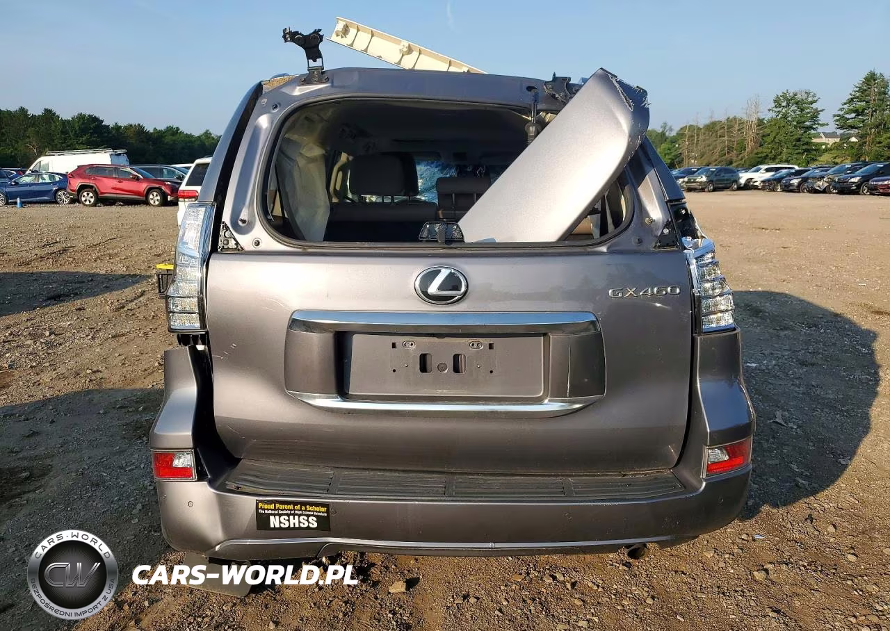 2020 Lexus Gx 460 Premium VIN:JTJAM7BX5L5257218 - 6