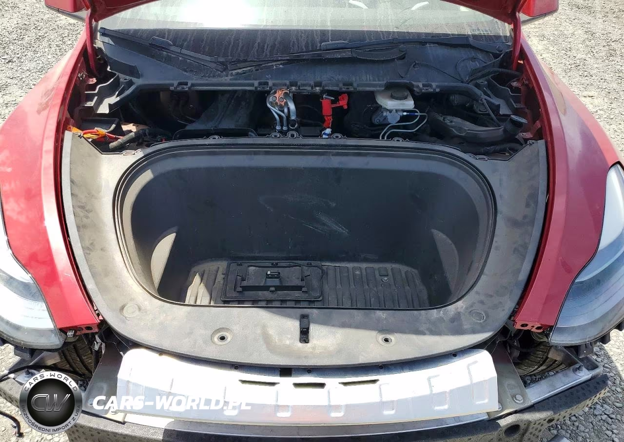 2023 Tesla Model Y VIN:7SAYGDEE7PF601611 - 11