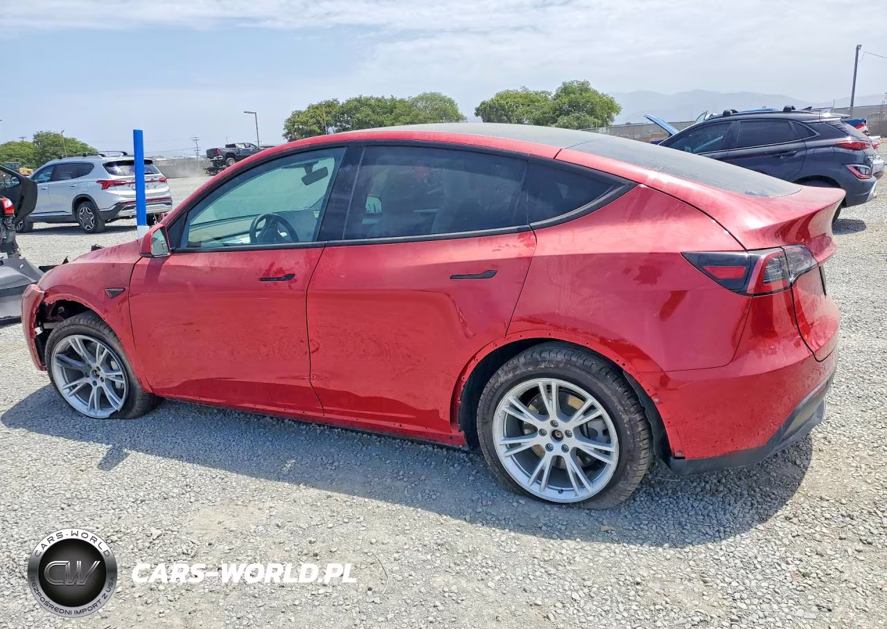 2023 Tesla Model Y VIN:7SAYGDEE7PF601611 - 2