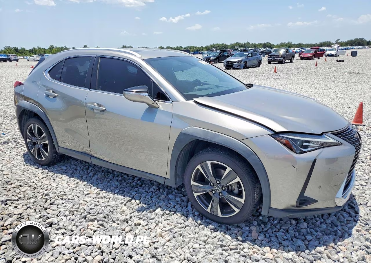 2020 Lexus Ux 250H VIN:JTHX9JBH3L2034826 - 4