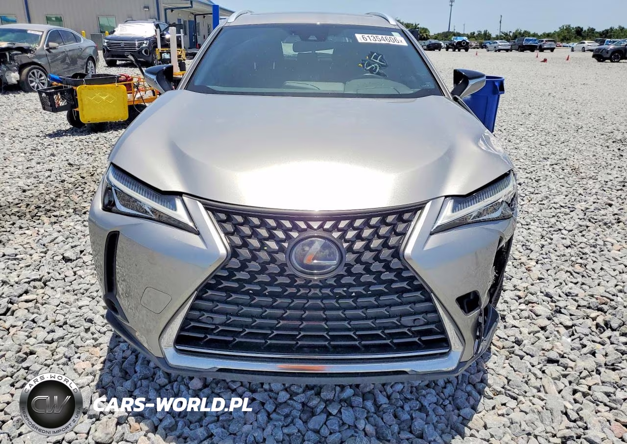 2020 Lexus Ux 250H VIN:JTHX9JBH3L2034826 - 5