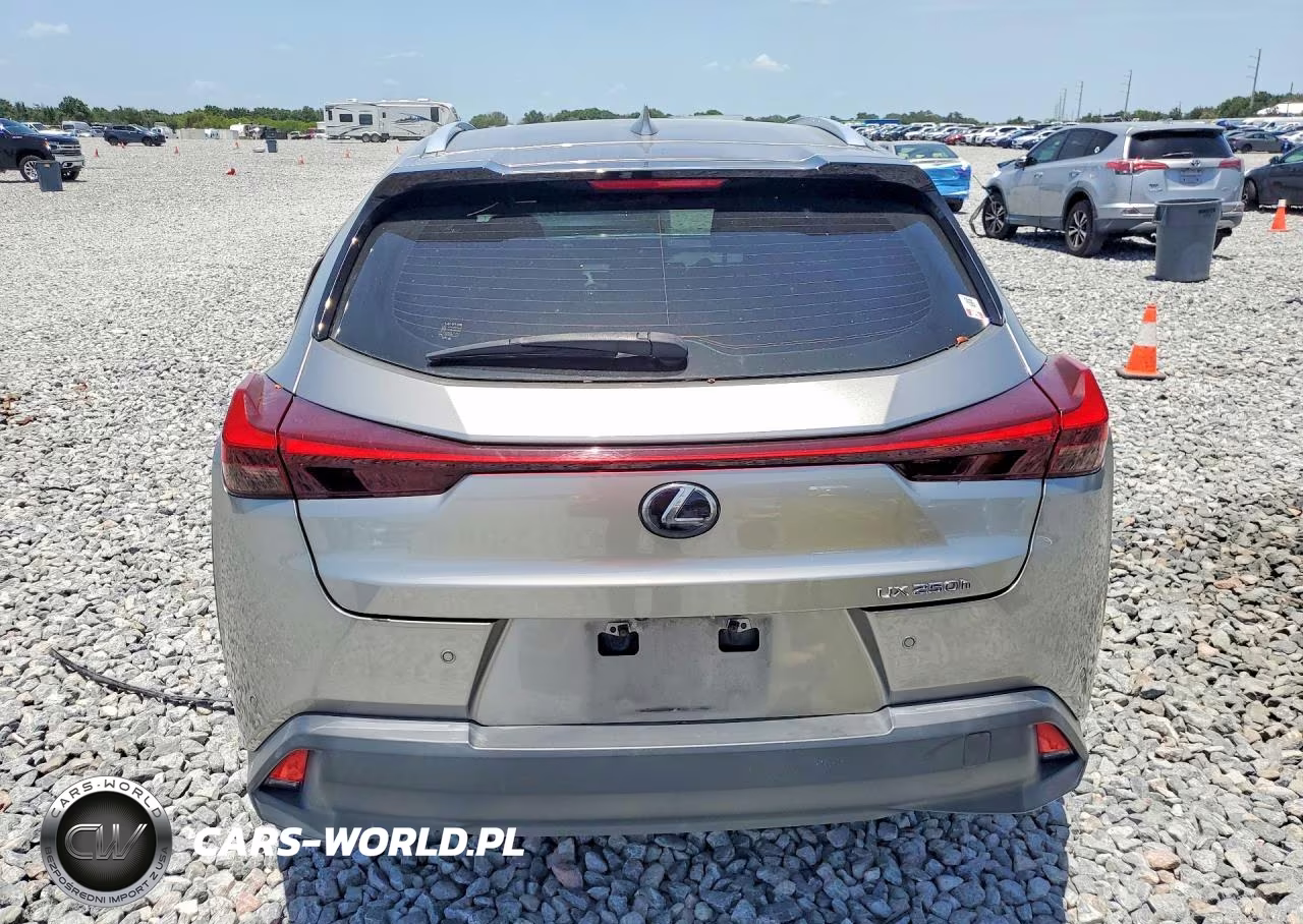 2020 Lexus Ux 250H VIN:JTHX9JBH3L2034826 - 6