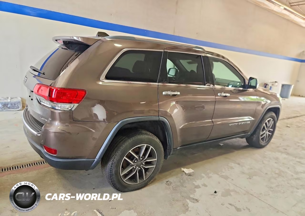 2019 Jeep Grand Cherokee Limited VIN:1C4RJFBG1KC735489 - 3