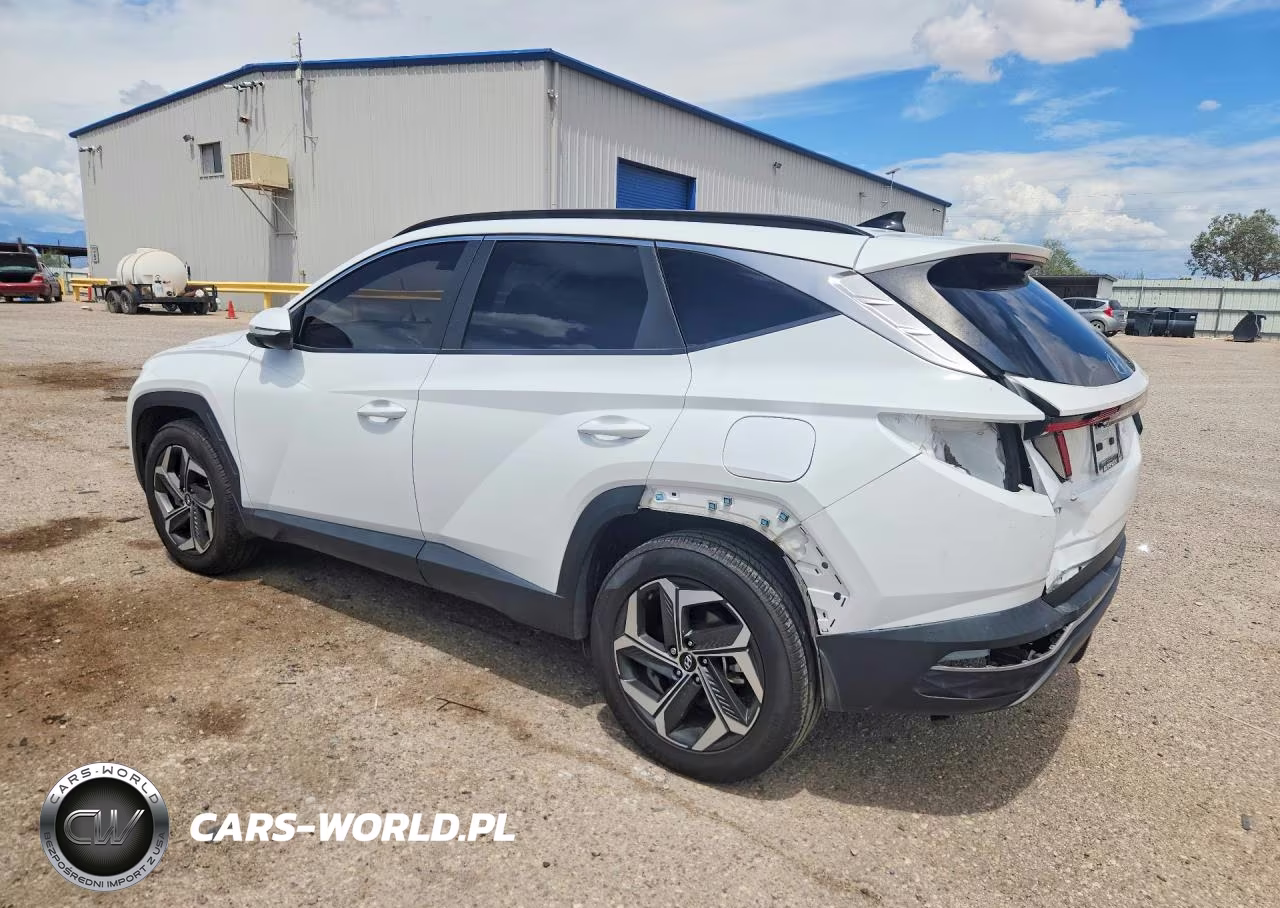 2023 Hyundai Tucson Sel VIN:5NMJFCAE7PH210913 - 2