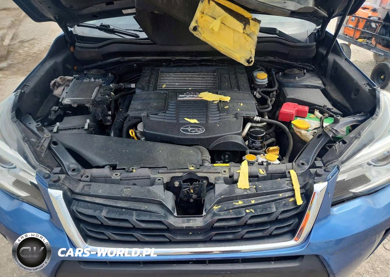 2017 Subaru Forester 2.0Xt Touring VIN:JF2SJGTC9HH404577 - 12