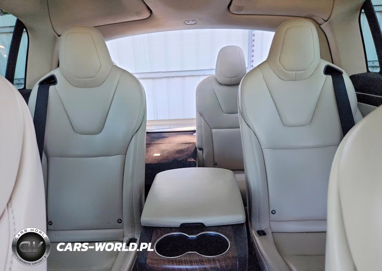 2017 Tesla Model X VIN:5YJXCBE2XHF077371 - 10