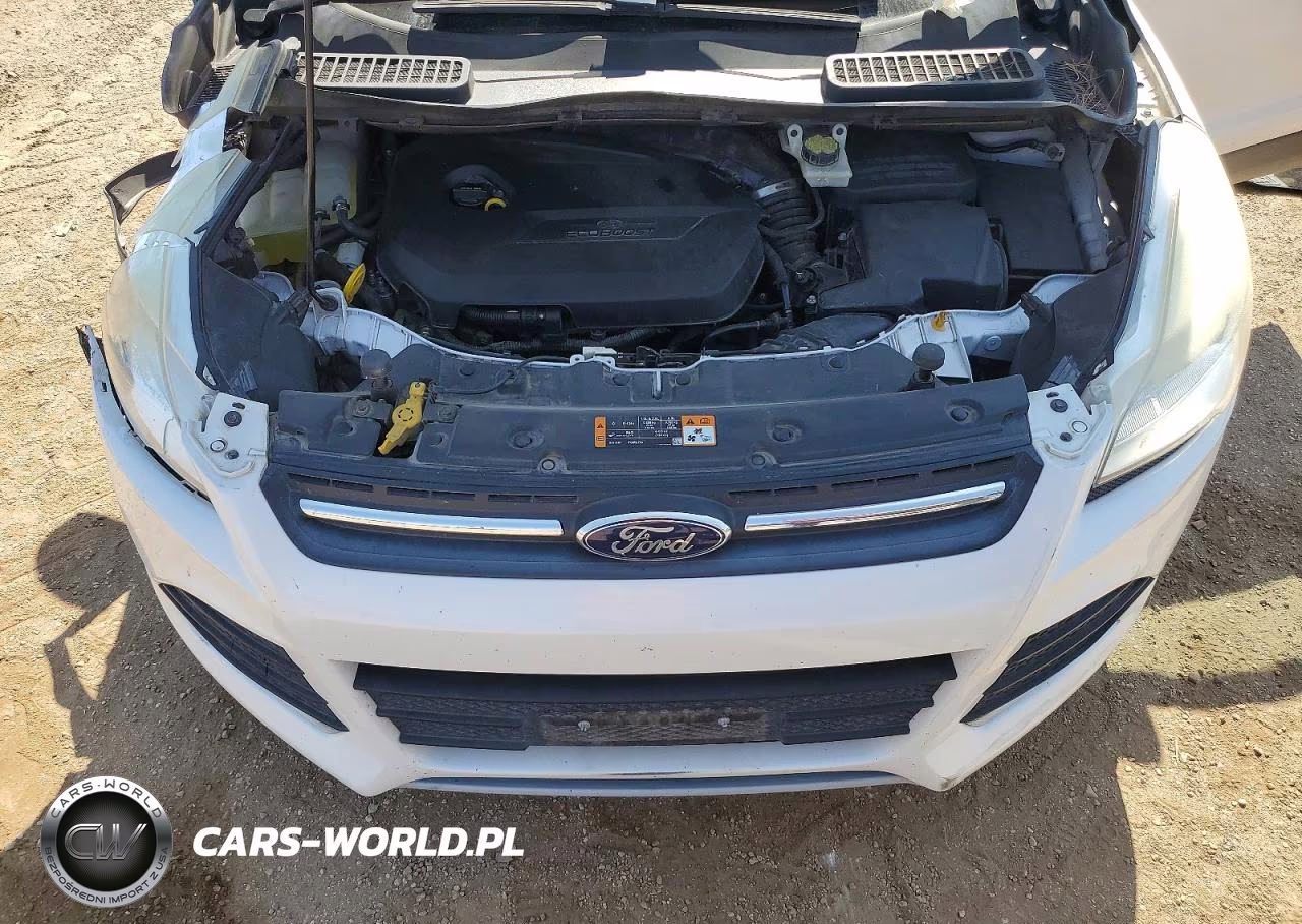 2014 Ford Escape Se VIN:1FMCU0GX7EUD66019 - 11