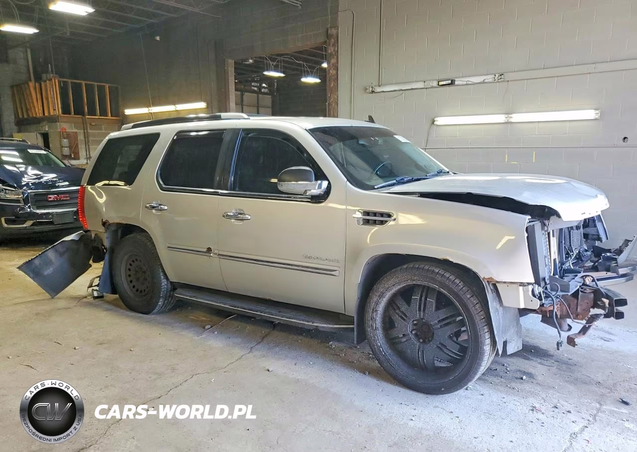 2011 Cadillac Escalade Luxury VIN:1GYS4BEF7BR319040 - 4