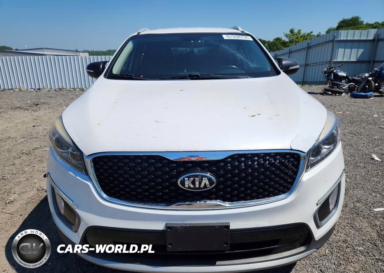 2016 Kia Sorento Ex VIN:5XYPHDA53GG159043 - 5