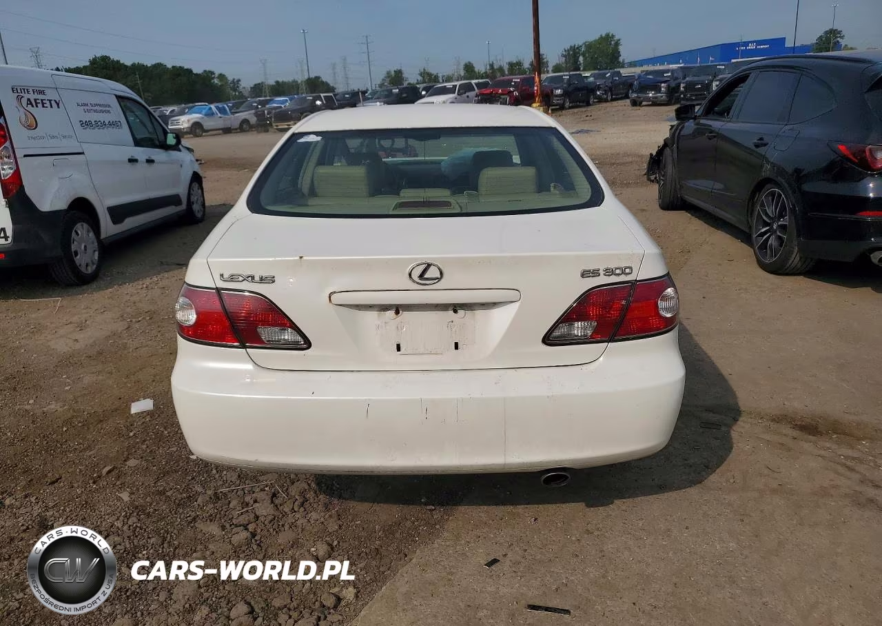 2003 Lexus Es 300 VIN:JTHBF30G736001569 - 6