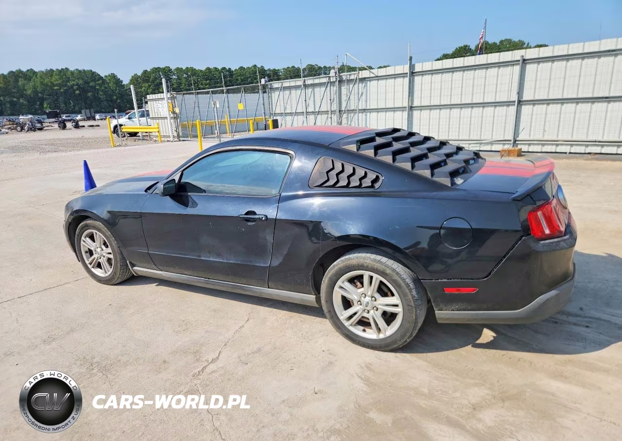 2010 Ford Mustang VIN:1ZVBP8AN0A5177016 - 2