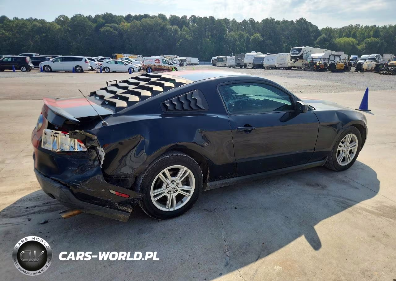 2010 Ford Mustang VIN:1ZVBP8AN0A5177016 - 3