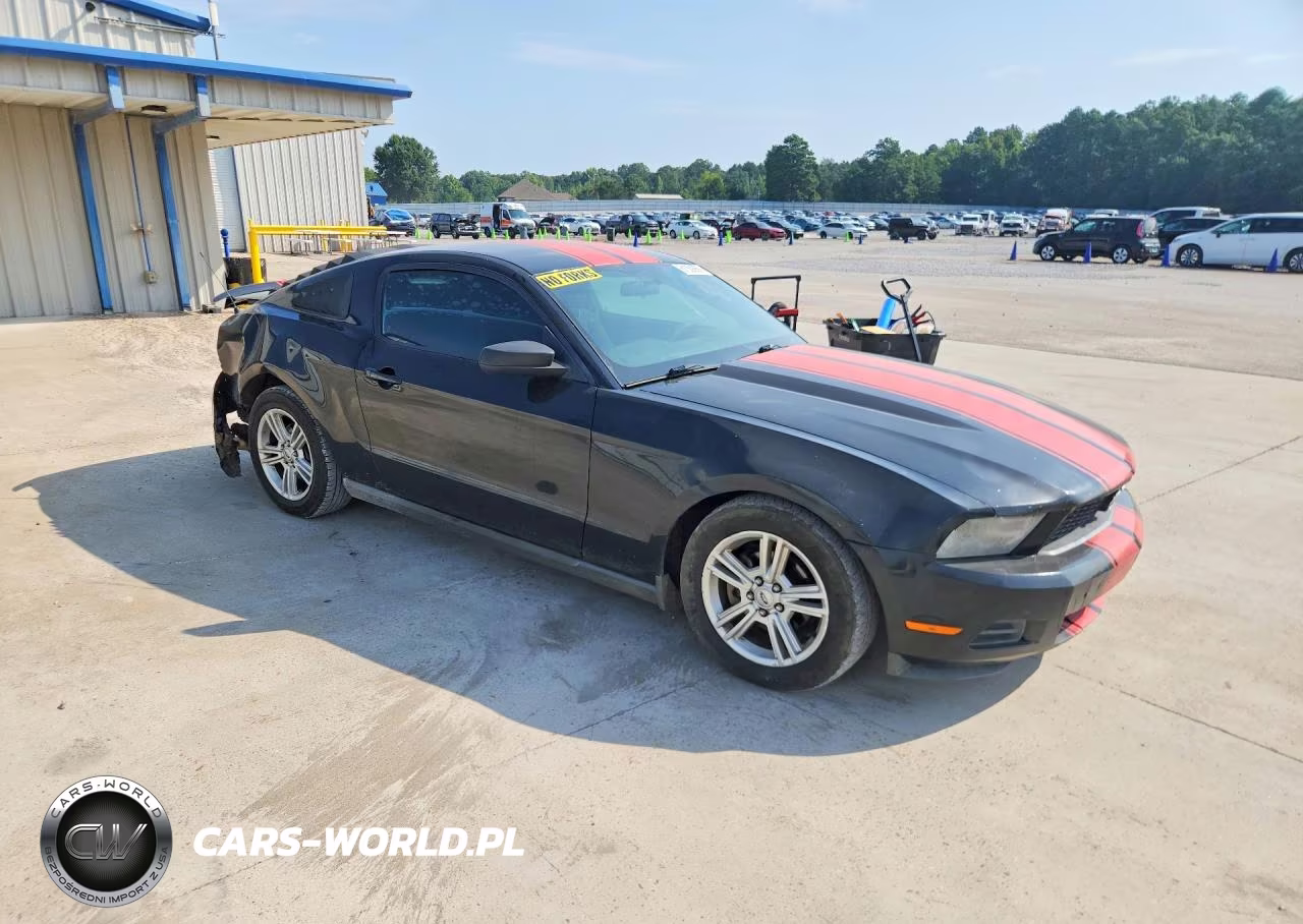 2010 Ford Mustang VIN:1ZVBP8AN0A5177016 - 4